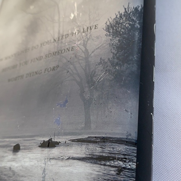 “Fallen,” and “Torment,” by Lauren Kate - Picture 8 of 8